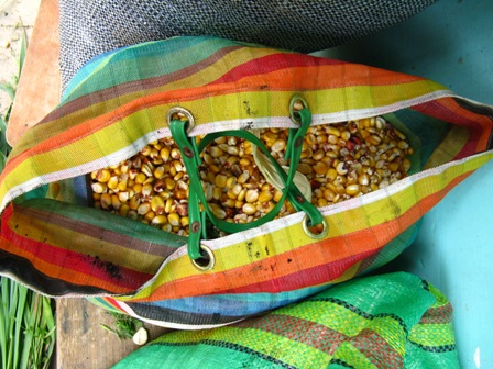 bag maize.JPG